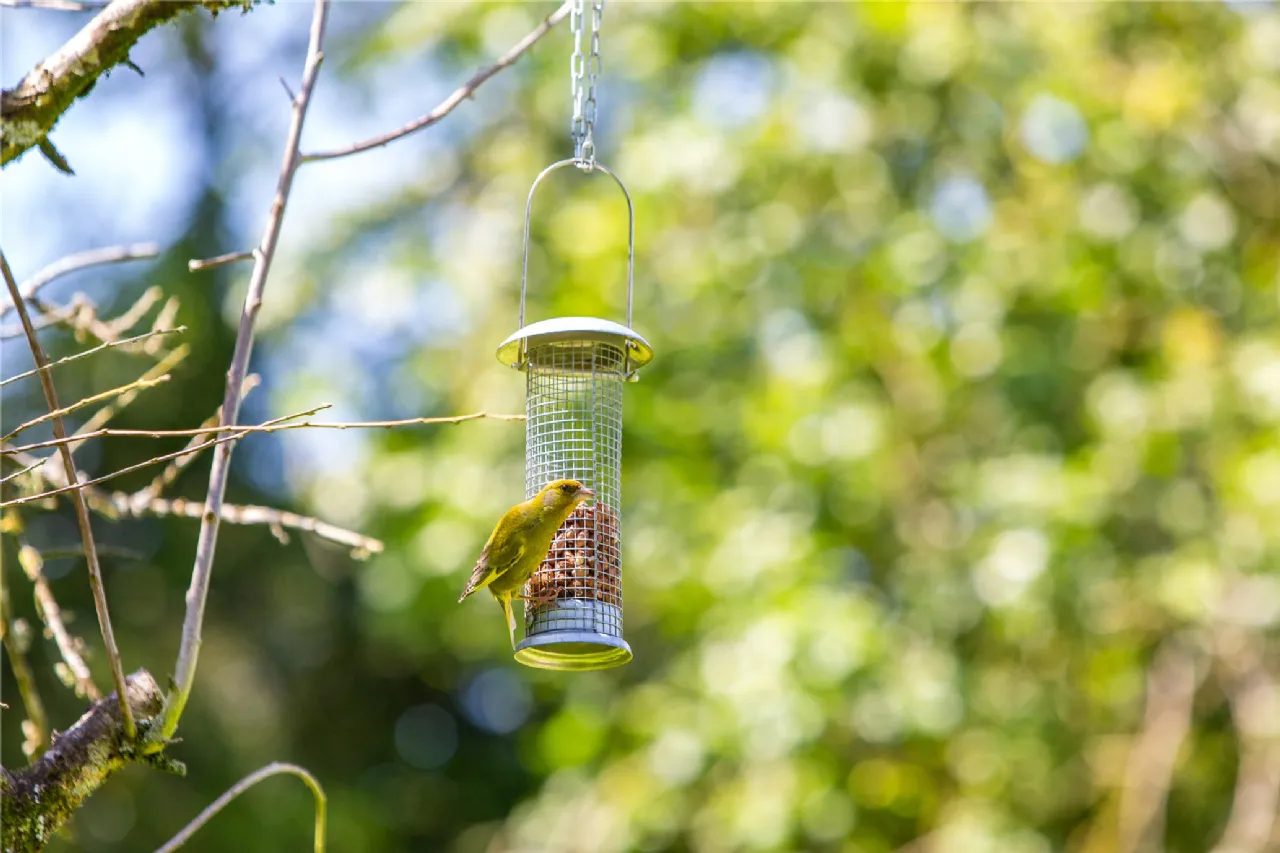 Photo of Ballydonagh House On 27 Ha/67 Acres, Cloughjordan, Co Tipperary, E53 PR99