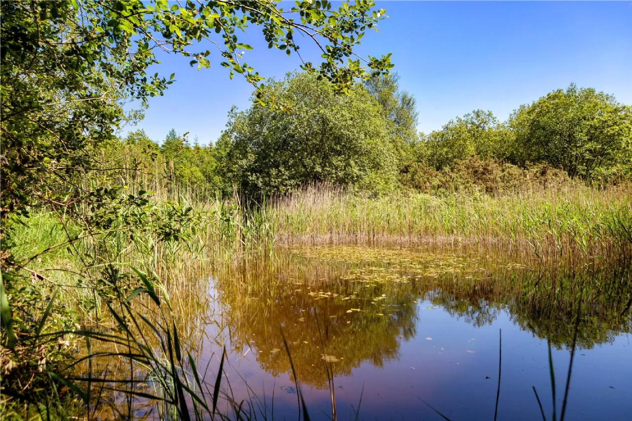 Photo of Ballydonagh House On 27 Ha/67 Acres, Cloughjordan, Co Tipperary, E53 PR99