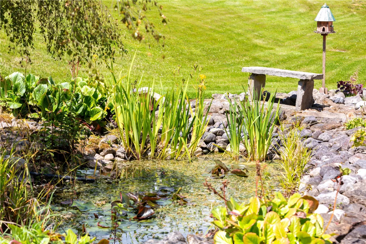 Photo of Ballydonagh House On 27 Ha/67 Acres, Cloughjordan, Co Tipperary, E53 PR99