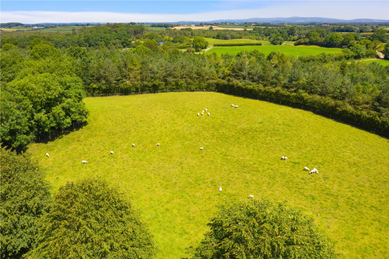 Photo of Ballydonagh House On 27 Ha/67 Acres, Cloughjordan, Co Tipperary, E53 PR99