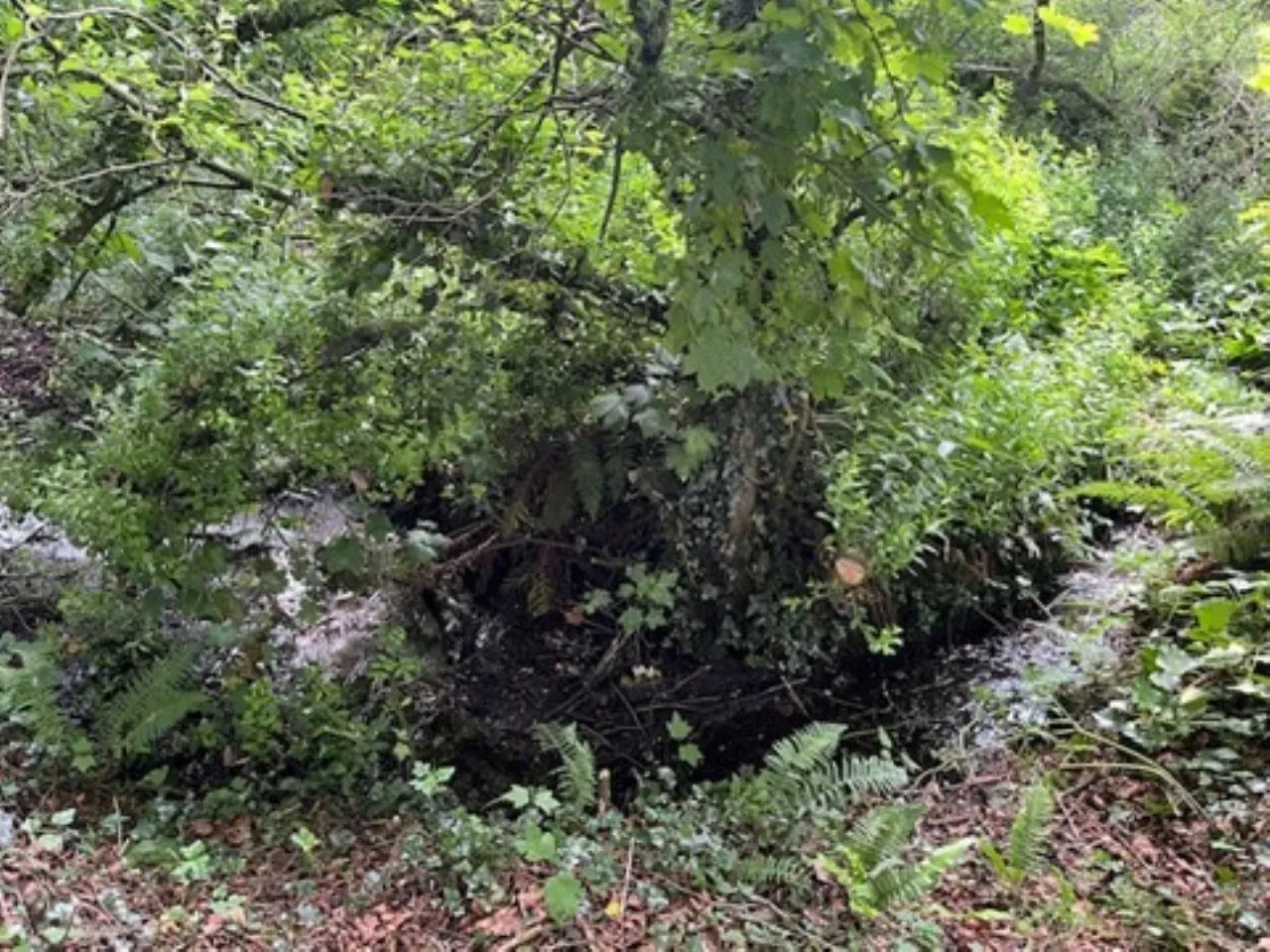 Photo of Derelict Bungalow, Brownsbarn, Thomastown, Co Kilkenny, R95 AK5V