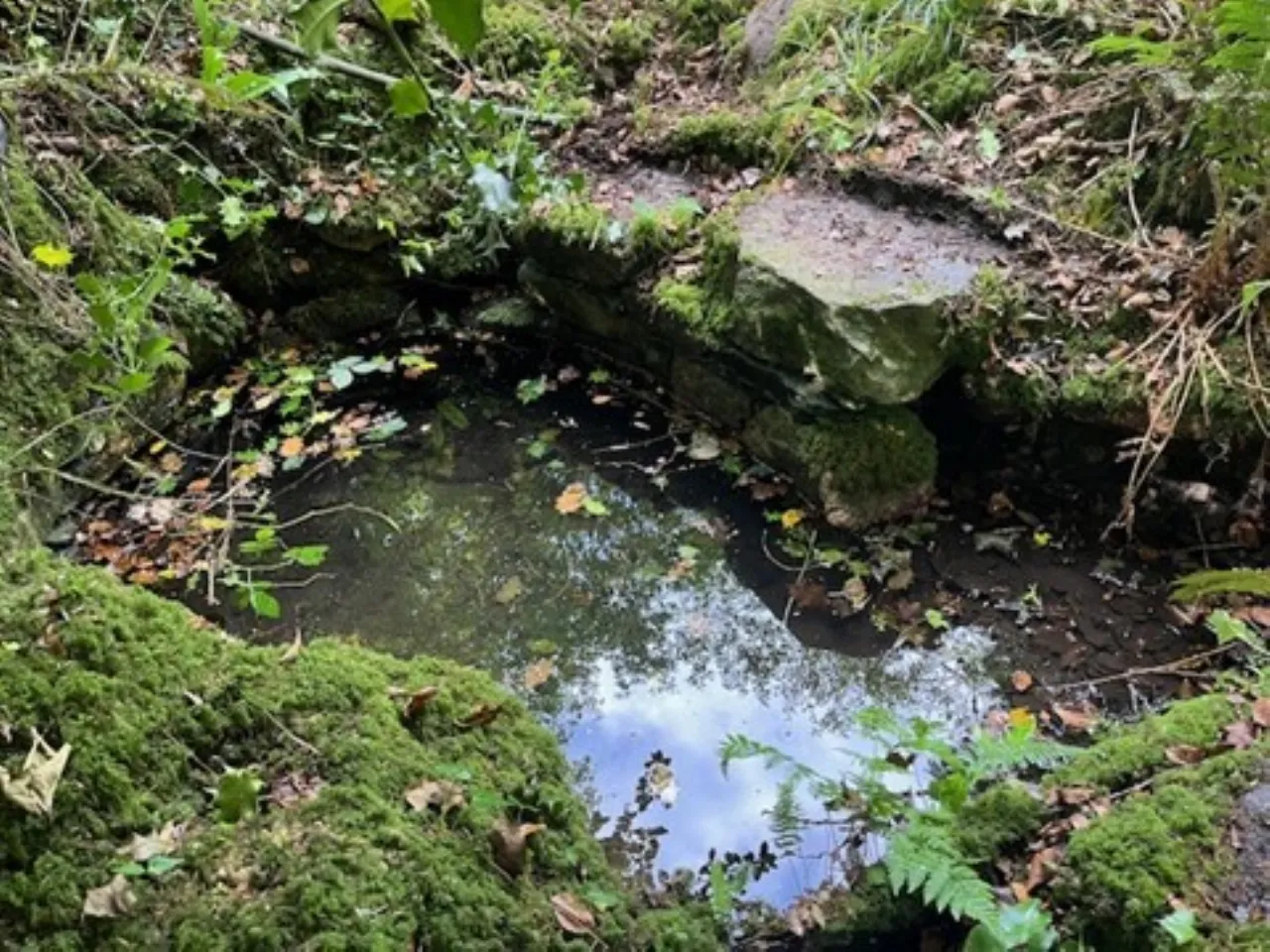 Photo of Derelict Bungalow, Brownsbarn, Thomastown, Co Kilkenny, R95 AK5V