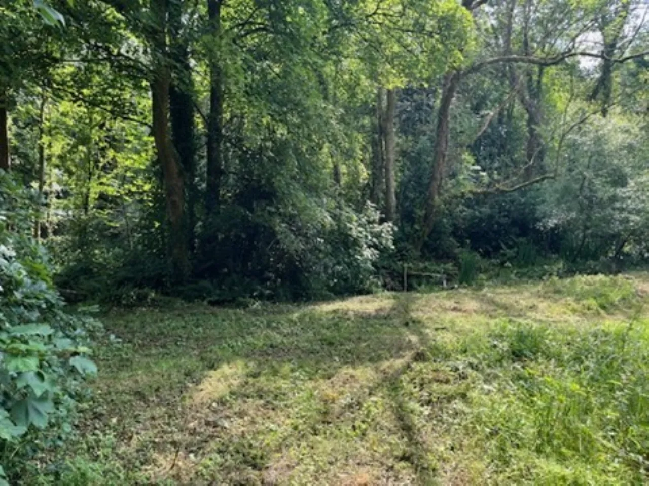 Photo of Derelict Bungalow, Brownsbarn, Thomastown, Co Kilkenny, R95 AK5V