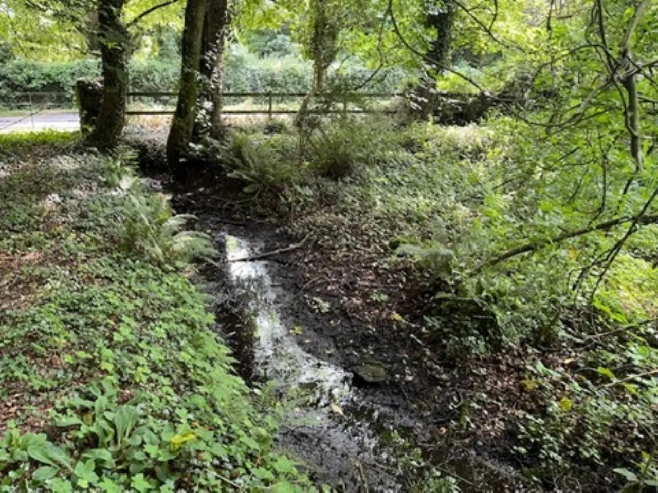 Photo of Derelict Bungalow, Brownsbarn, Thomastown, Co Kilkenny, R95 AK5V