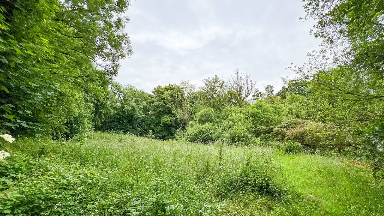 Photo of Derelict Bungalow, Brownsbarn, Thomastown, Co Kilkenny, R95 AK5V