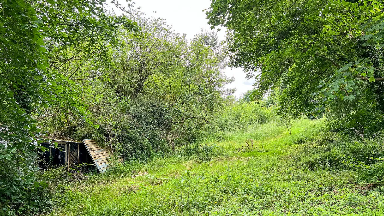 Photo of Derelict Bungalow, Brownsbarn, Thomastown, Co Kilkenny, R95 AK5V