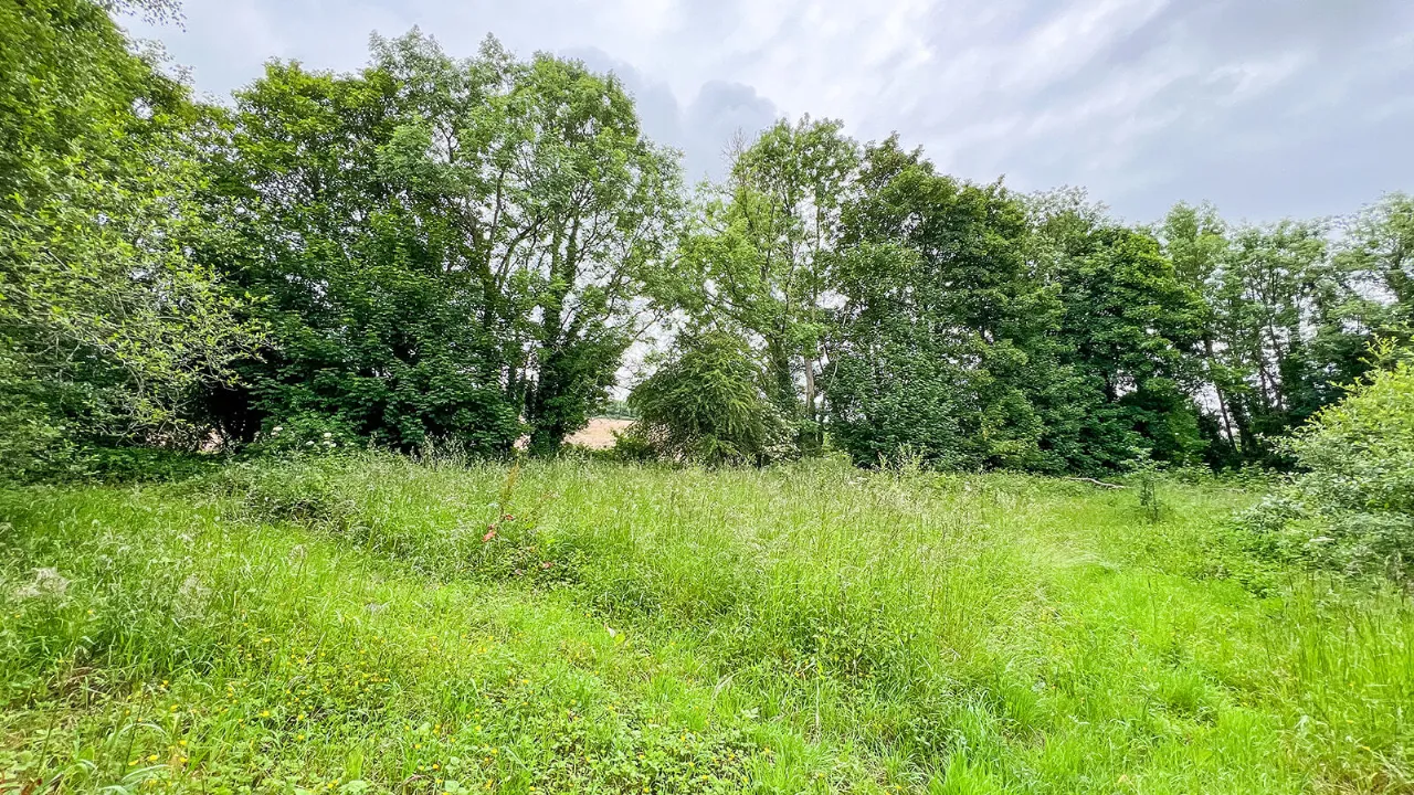 Photo of Derelict Bungalow, Brownsbarn, Thomastown, Co Kilkenny, R95 AK5V