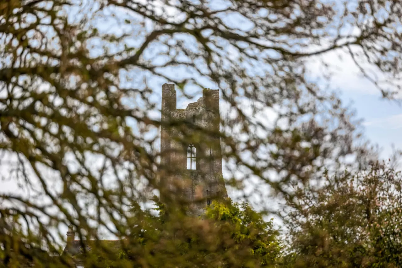 Photo of 32 Avondale, Trim, Co Meath, C15 CR97