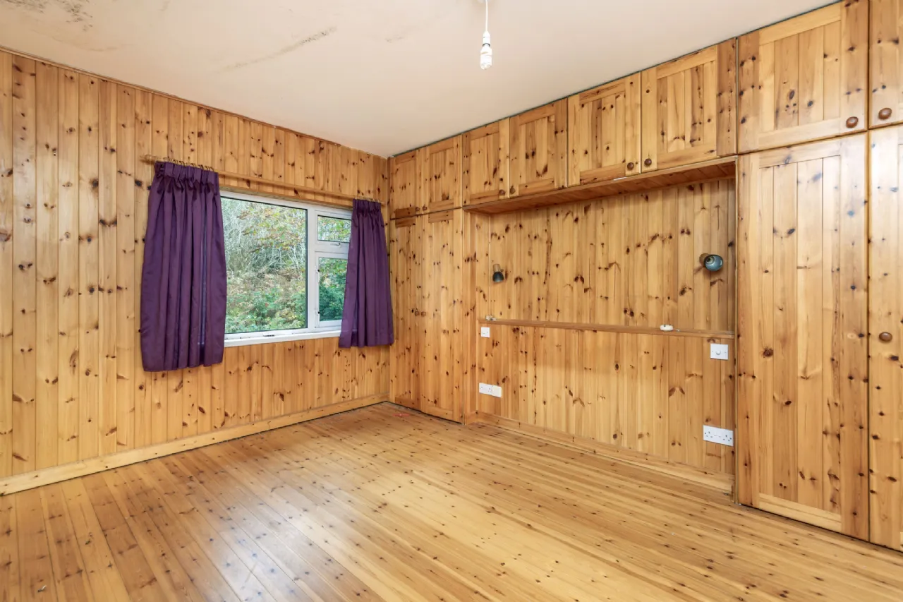 Photo of Pehuen, Shelmalier Commons, Barntown, Co. Wexford, Y35 E1W1