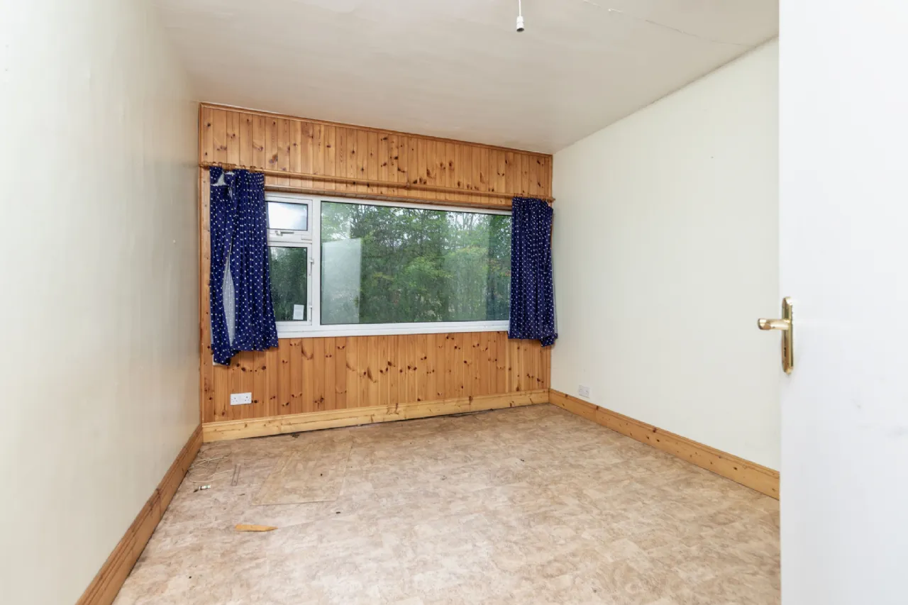 Photo of Pehuen, Shelmalier Commons, Barntown, Co. Wexford, Y35 E1W1