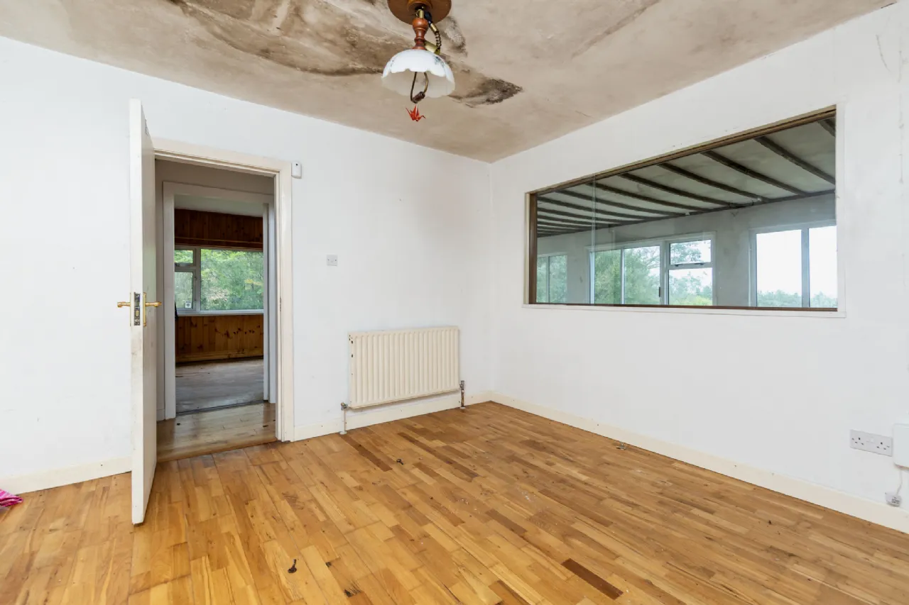 Photo of Pehuen, Shelmalier Commons, Barntown, Co. Wexford, Y35 E1W1