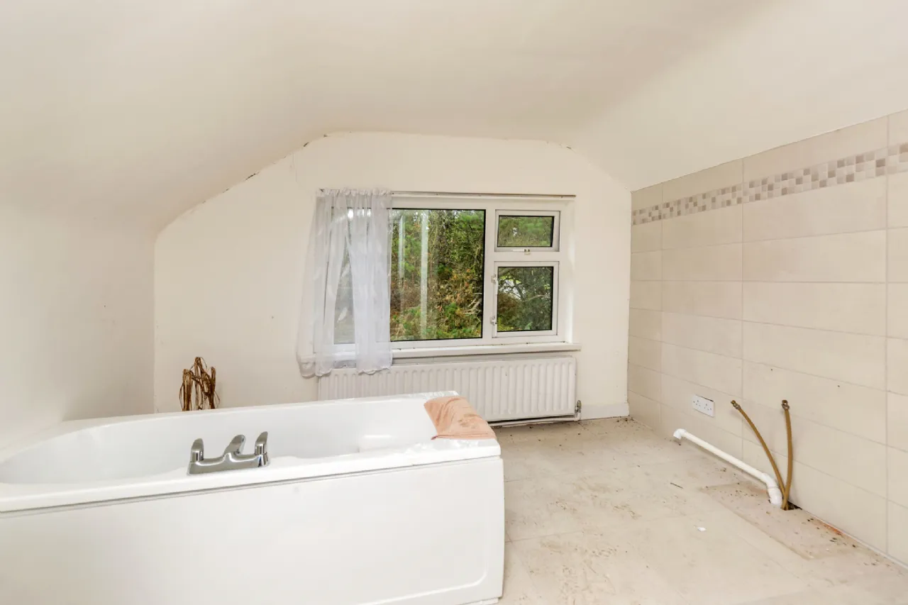 Photo of Pehuen, Shelmalier Commons, Barntown, Co. Wexford, Y35 E1W1