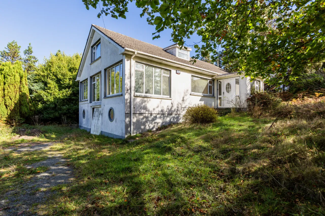 Photo of Pehuen, Shelmalier Commons, Barntown, Co. Wexford, Y35 E1W1