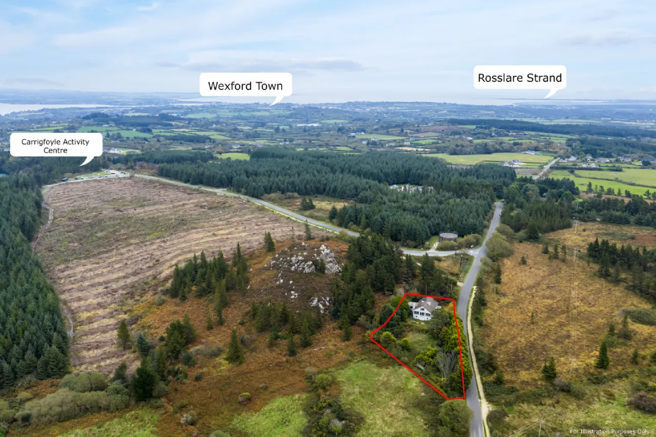 Photo of Pehuen, Shelmalier Commons, Barntown, Co. Wexford, Y35 E1W1