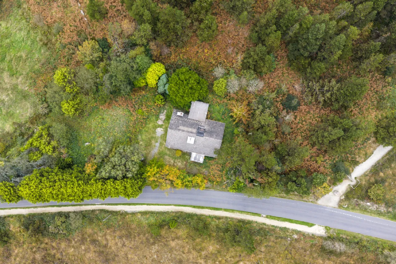 Photo of Pehuen, Shelmalier Commons, Barntown, Co. Wexford, Y35 E1W1