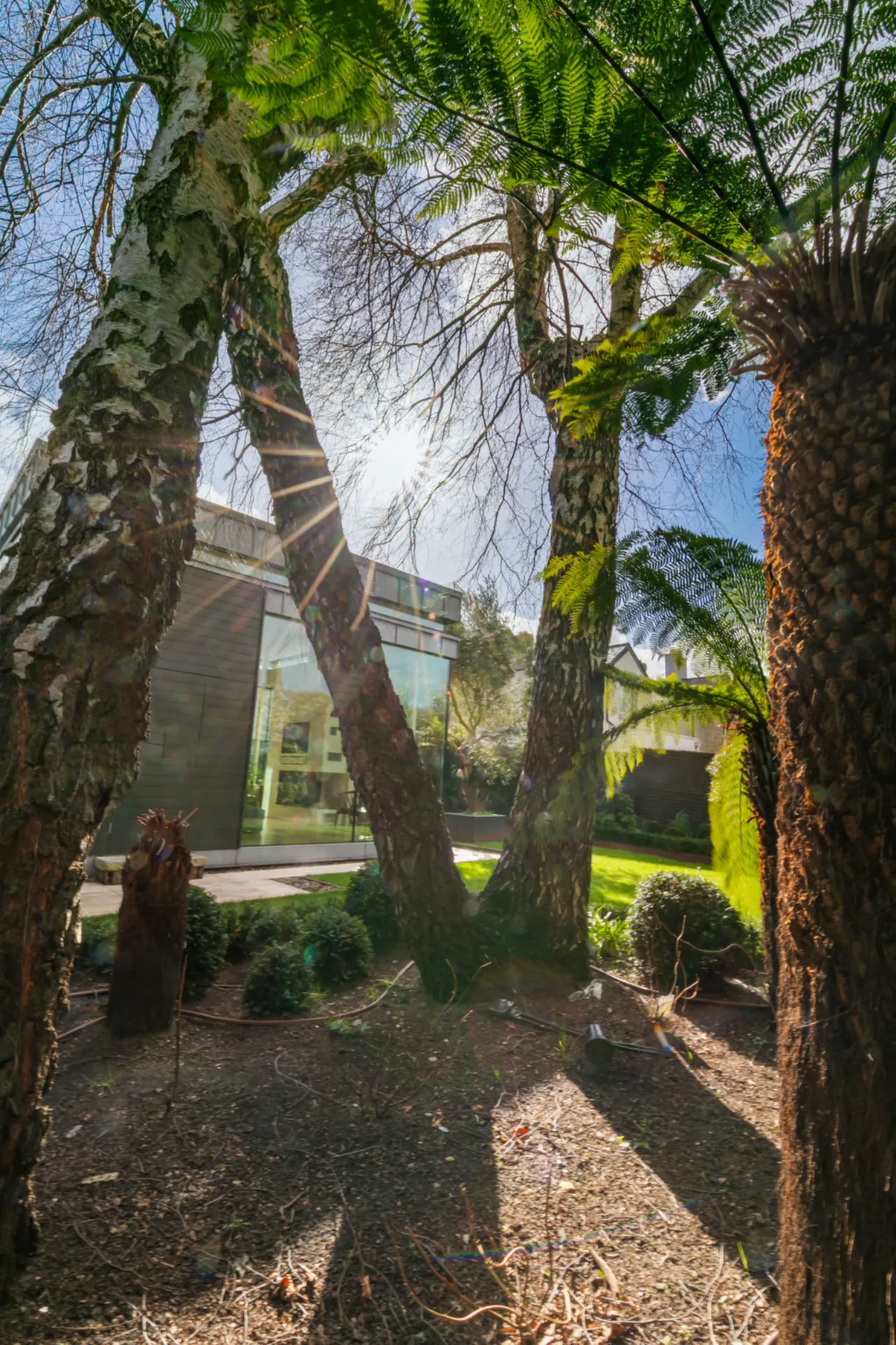 Photo of 17 Vernon Grove, Rathgar, Dublin 6, D06C2YO