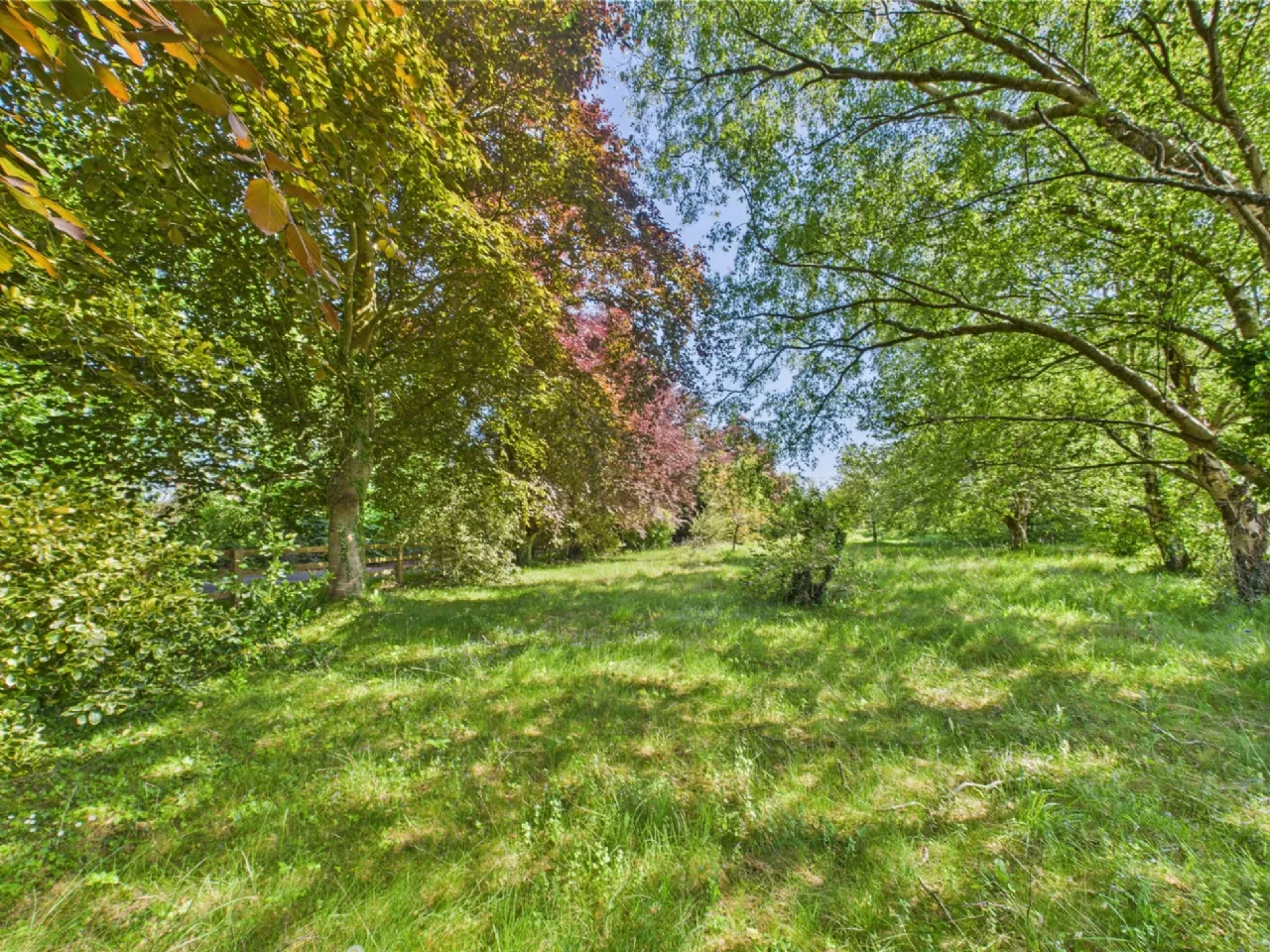 Photo of Shanakill Upper, Ballinderry, Nenagh, Co. Tipperary, E45 H006