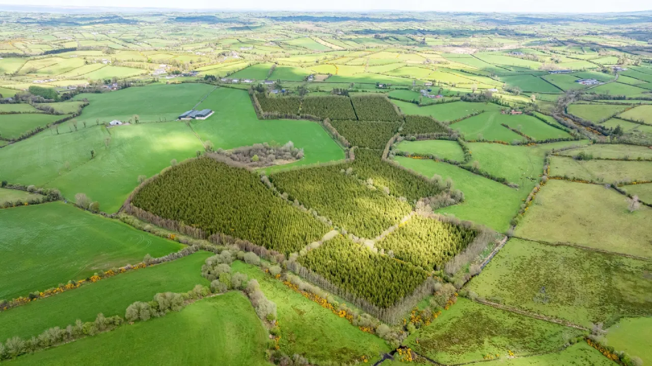 Photo of Maghernaharney, Rockcorry, Co. Monaghan, H18EY02