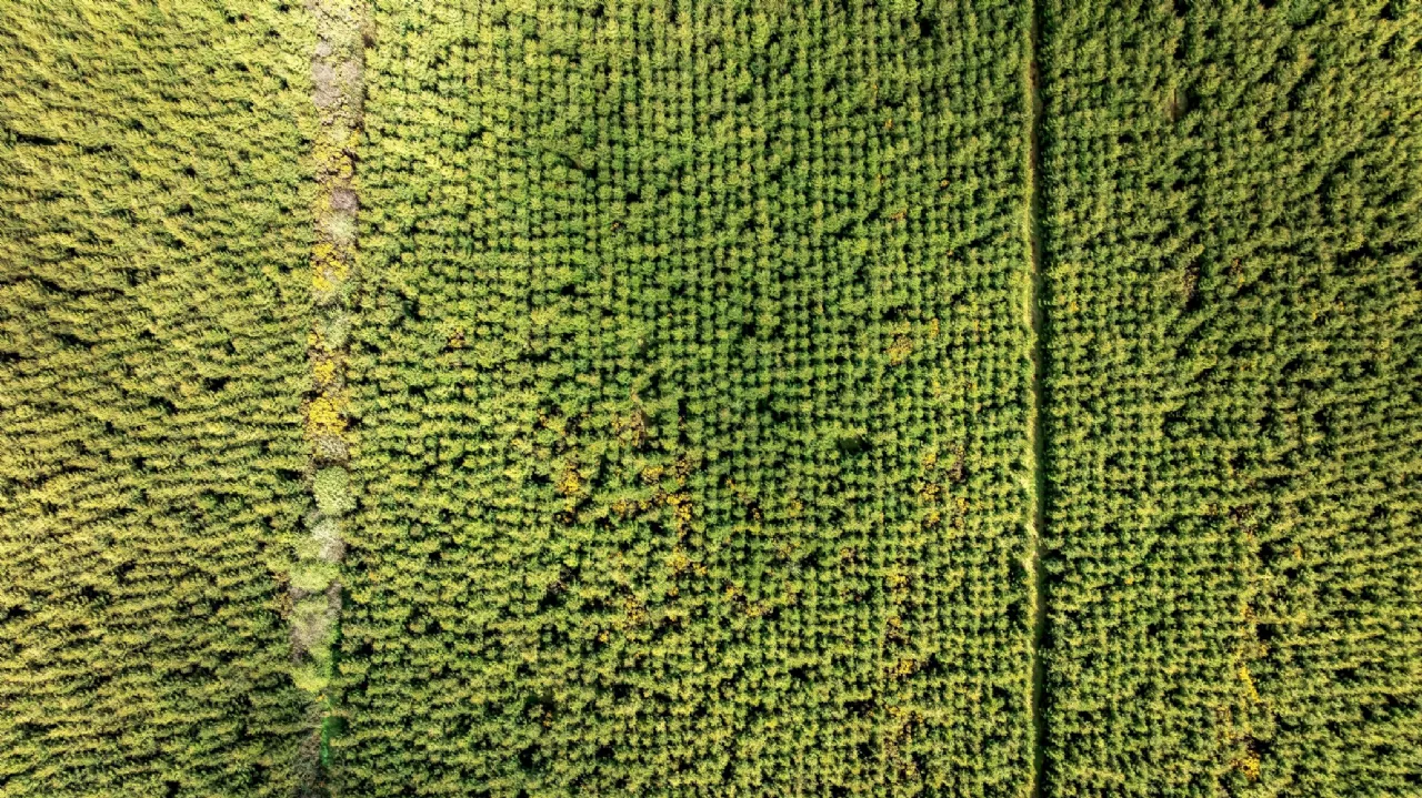 Photo of Maghernaharney, Rockcorry, Co. Monaghan, H18EY02