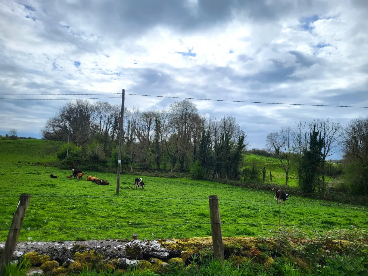 Photo of Site SPP Bunrawer, Ayle, Westport, Co Mayo