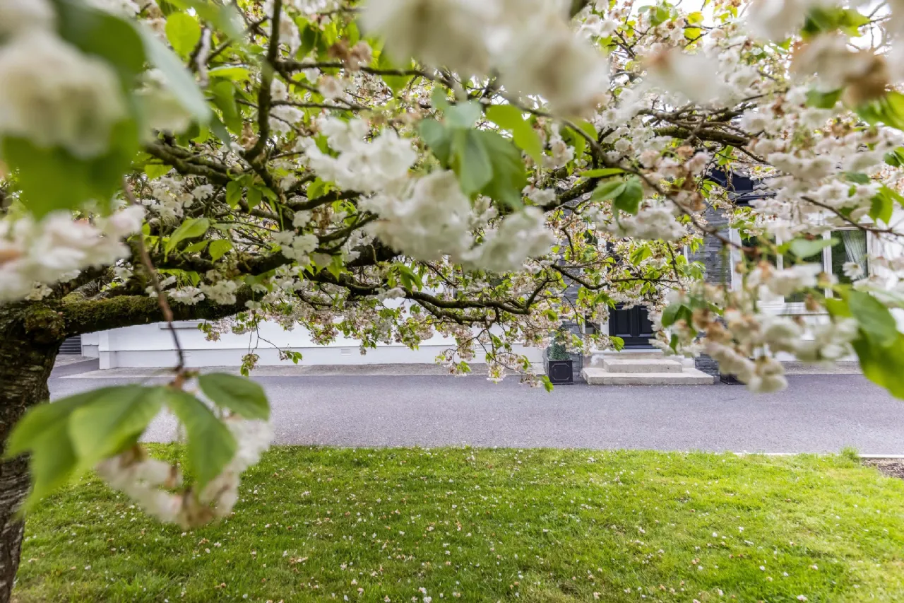 Photo of Readstown, Summerhill Road, Trim, Co Meath, C15 KX43
