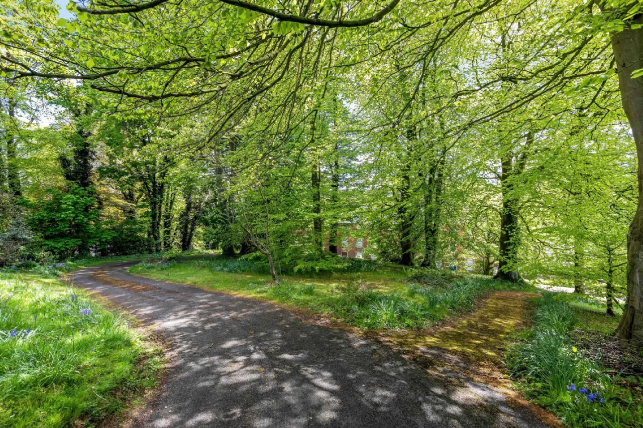 Photo of The Beeches, Coolshannagh, Monaghan, H18R928