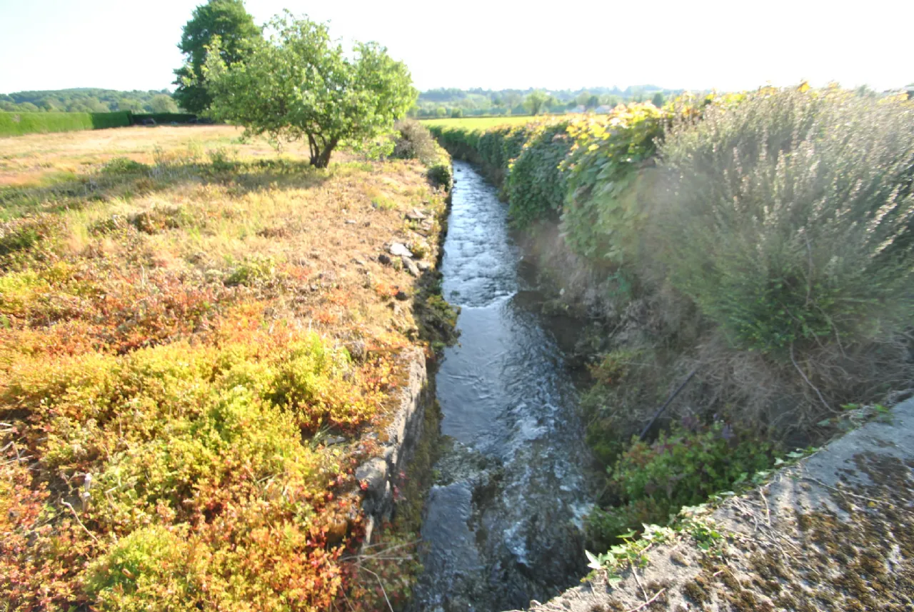 Photo of Timeighter, Roscrea, Co. Tipperary