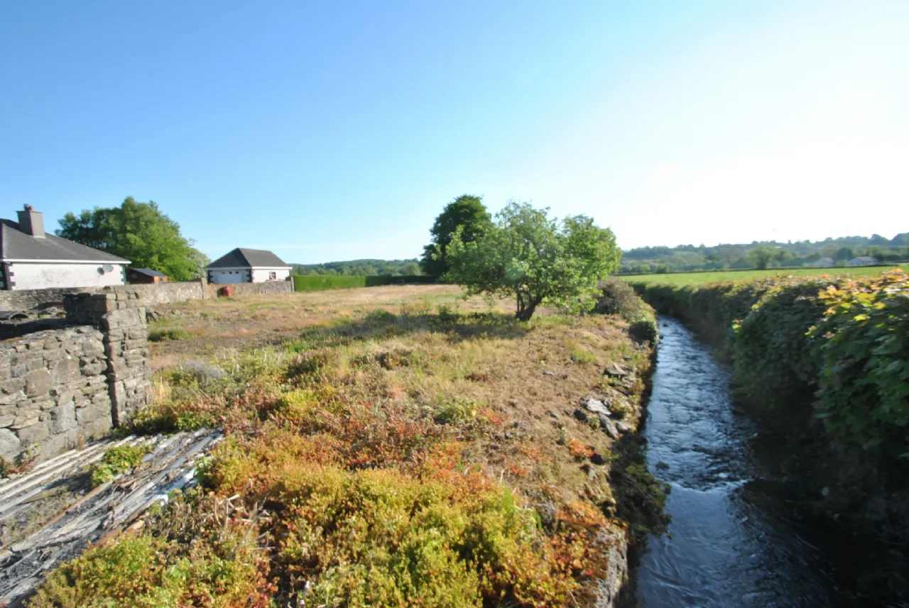 Photo of Timeighter, Roscrea, Co. Tipperary