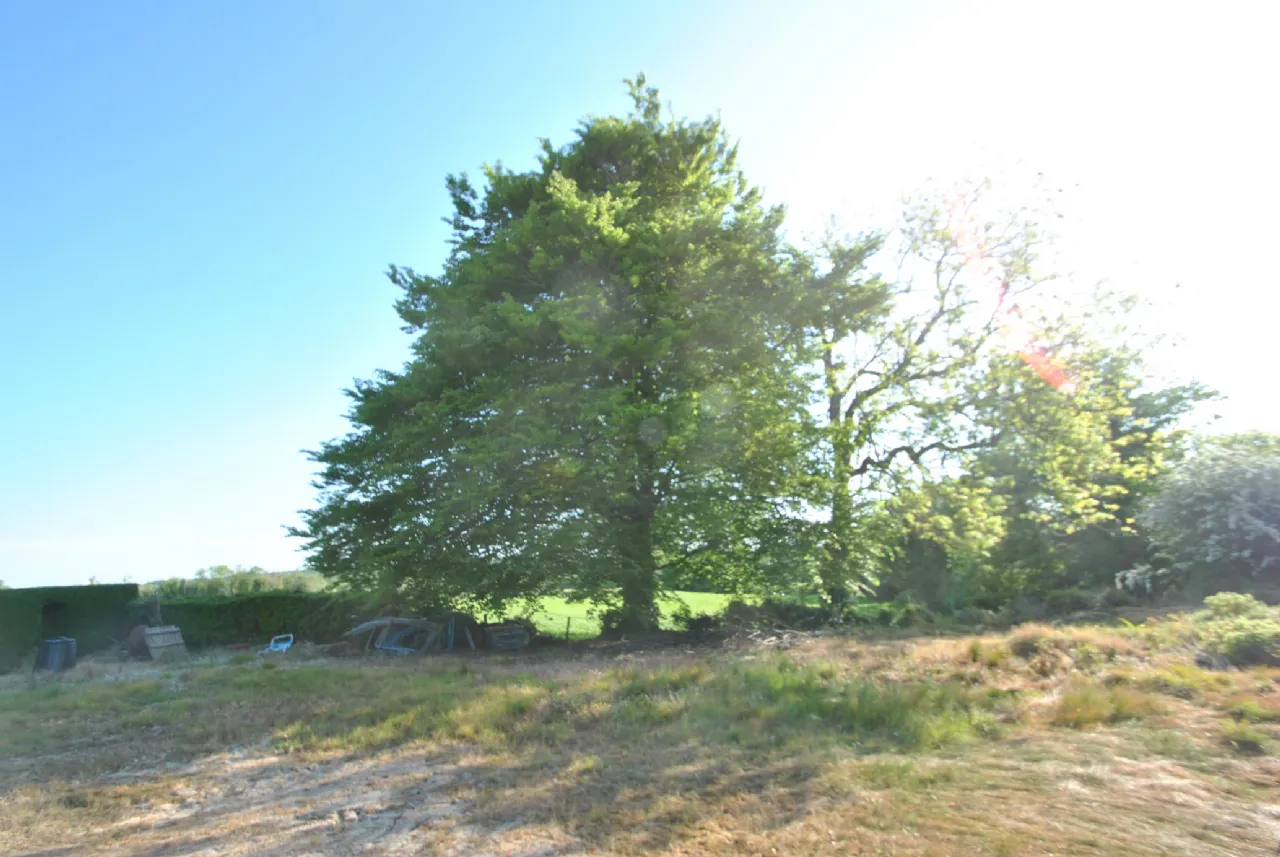 Photo of Timeighter, Roscrea, Co. Tipperary