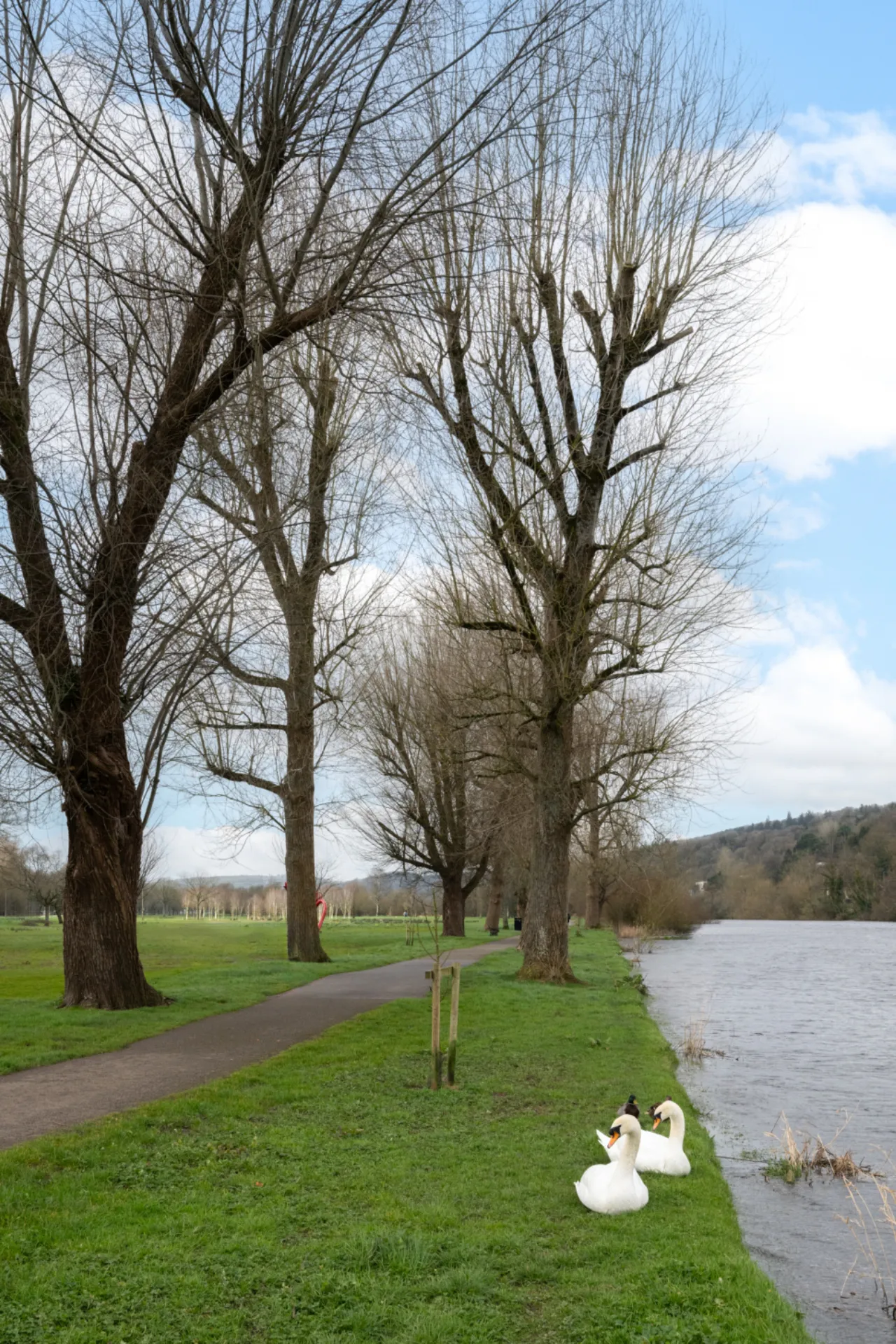 Photo of 12 Merton, Model Farm Road, Cork, T12 K8VX