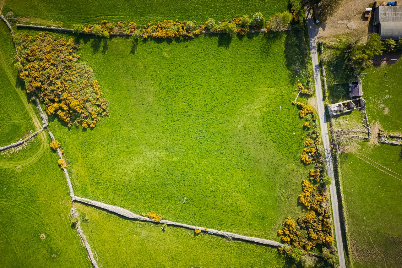 Photo of 3.5 Acres Grazing Lands, Jenkinstown, Co. Louth