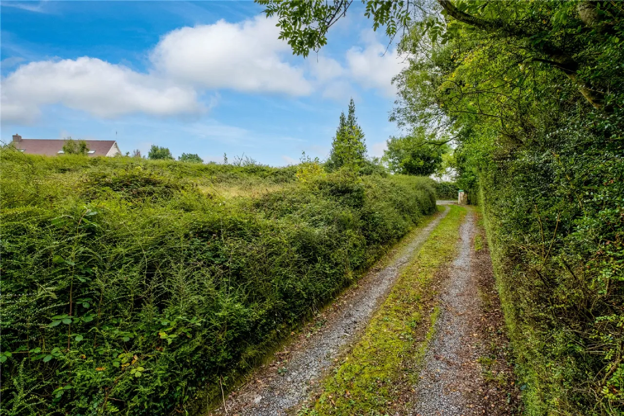 Photo of Carheendoo, Loughrea, Co. Galway, H62 TW10