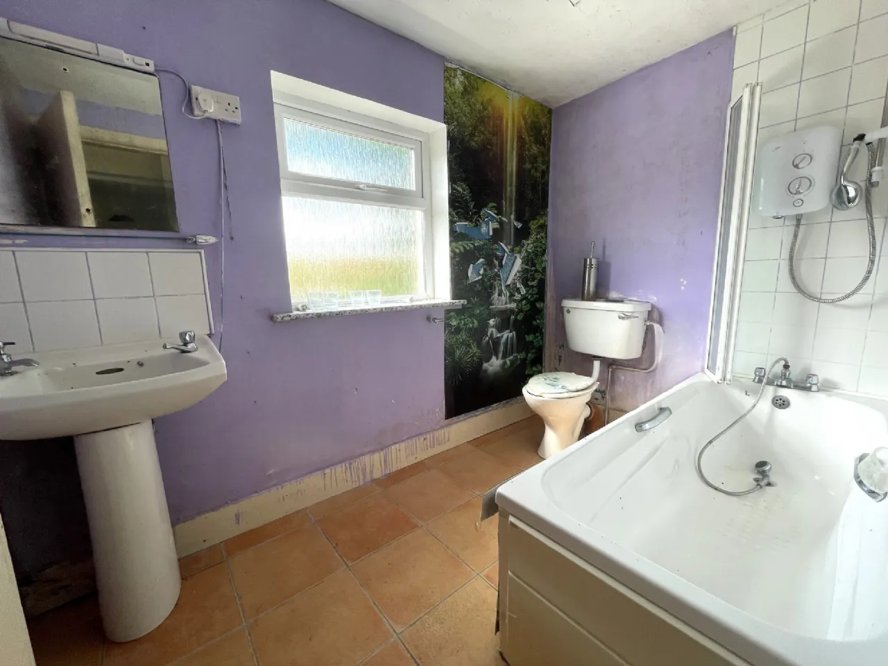 Photo of Roe, Kilmeena, Westport, Co Mayo, F28 CD71