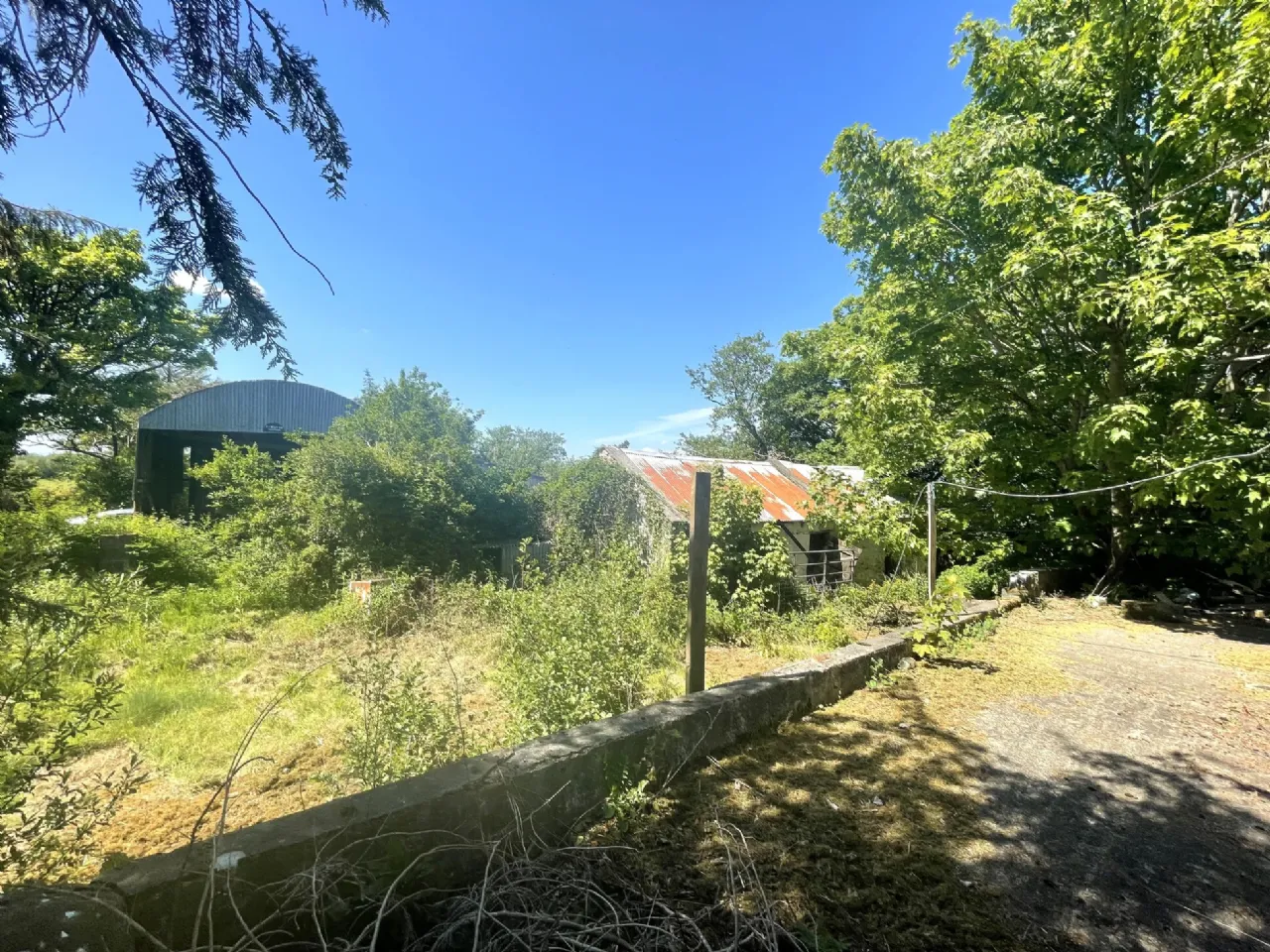 Photo of Roe, Kilmeena, Westport, Co Mayo, F28 CD71