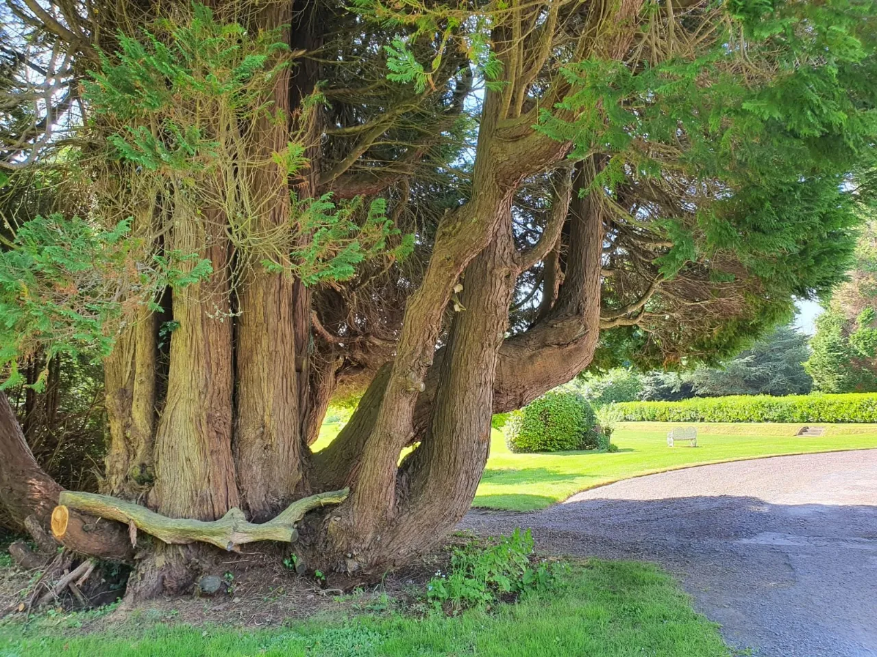 Photo of Assolas House, Kanturk, County Cork, P51 T954
