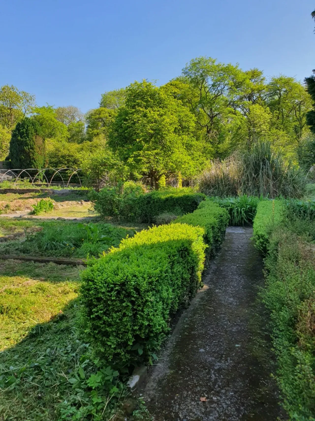 Photo of Assolas House, Kanturk, County Cork, P51 T954