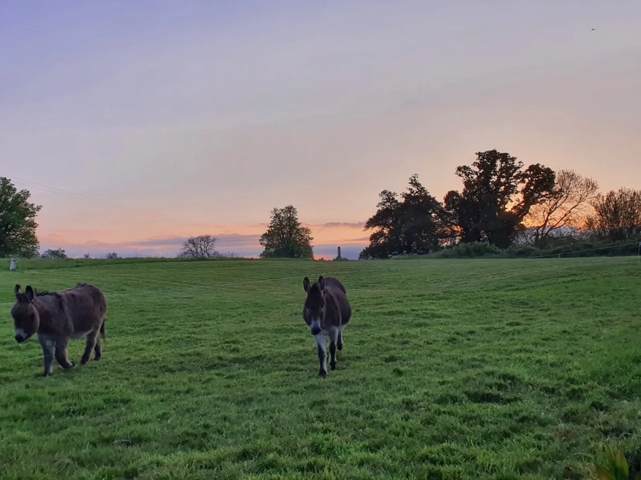 Photo of Assolas House, Kanturk, County Cork, P51 T954