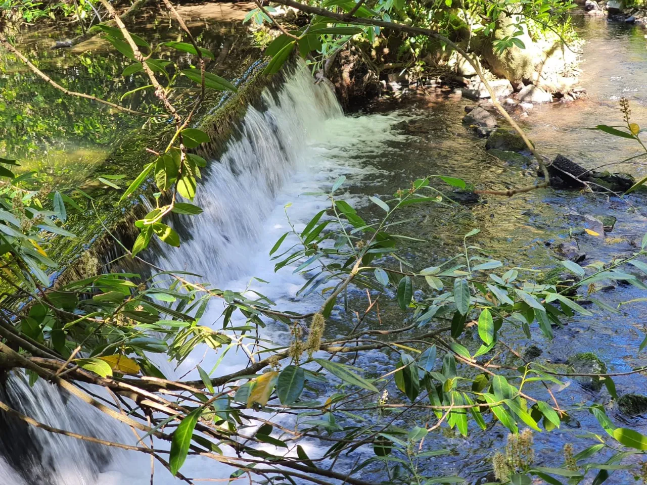 Photo of Assolas House, Kanturk, County Cork, P51 T954