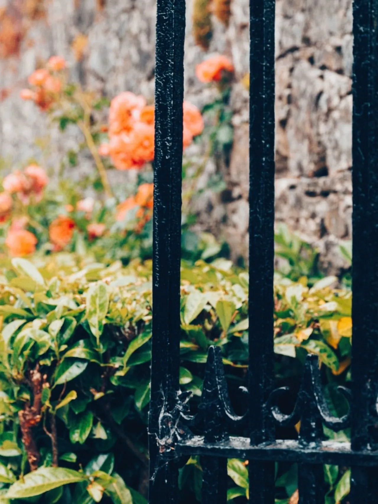 Photo of Assolas House, Kanturk, County Cork, P51 T954