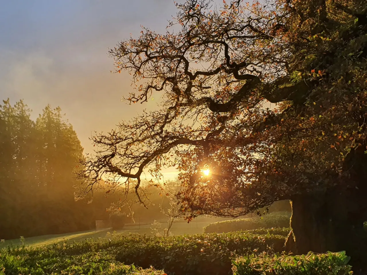 Photo of Assolas House, Kanturk, County Cork, P51 T954