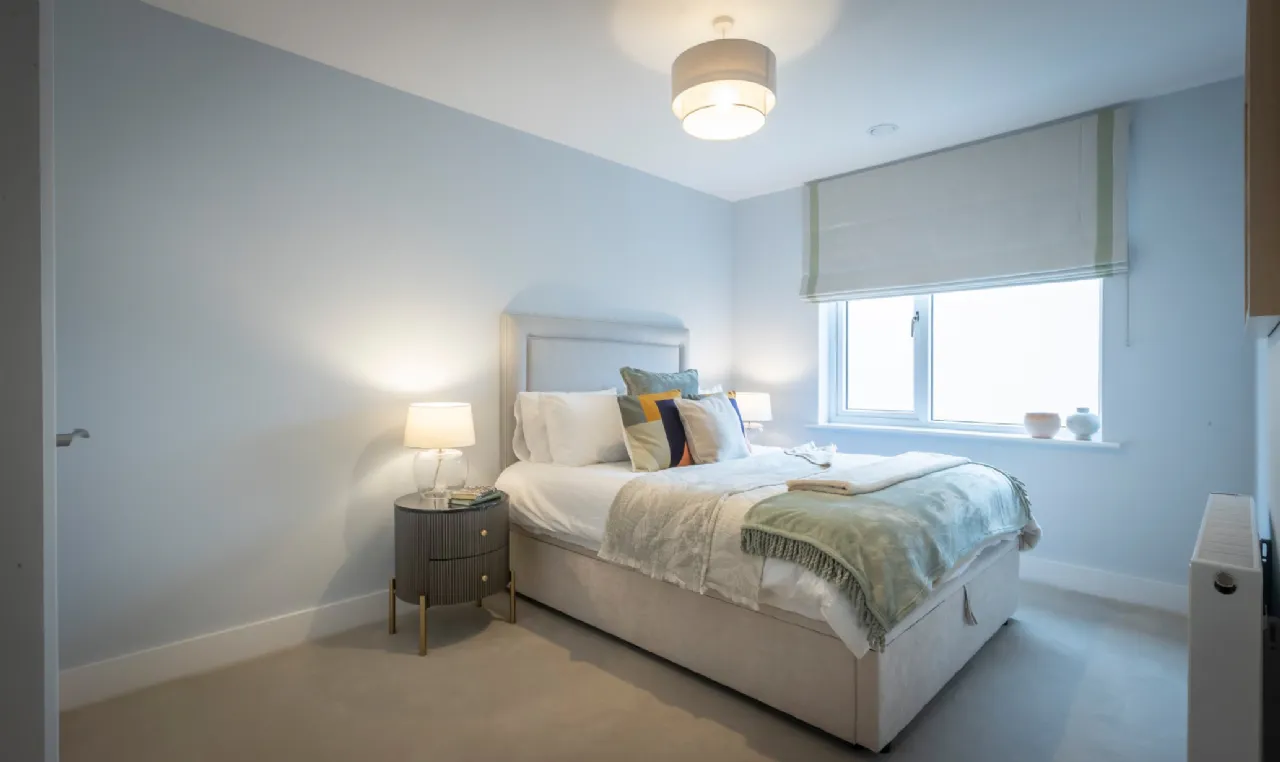 Photo of South Coast At Woodbrook, Shankill, Co. Dublin