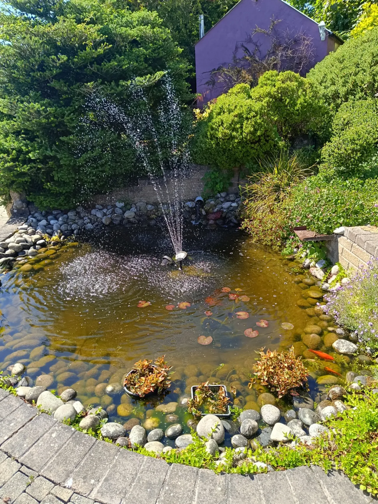 Photo of The Meadows, Drumguill, Threemilehouse, Co. Monaghan, H18P028