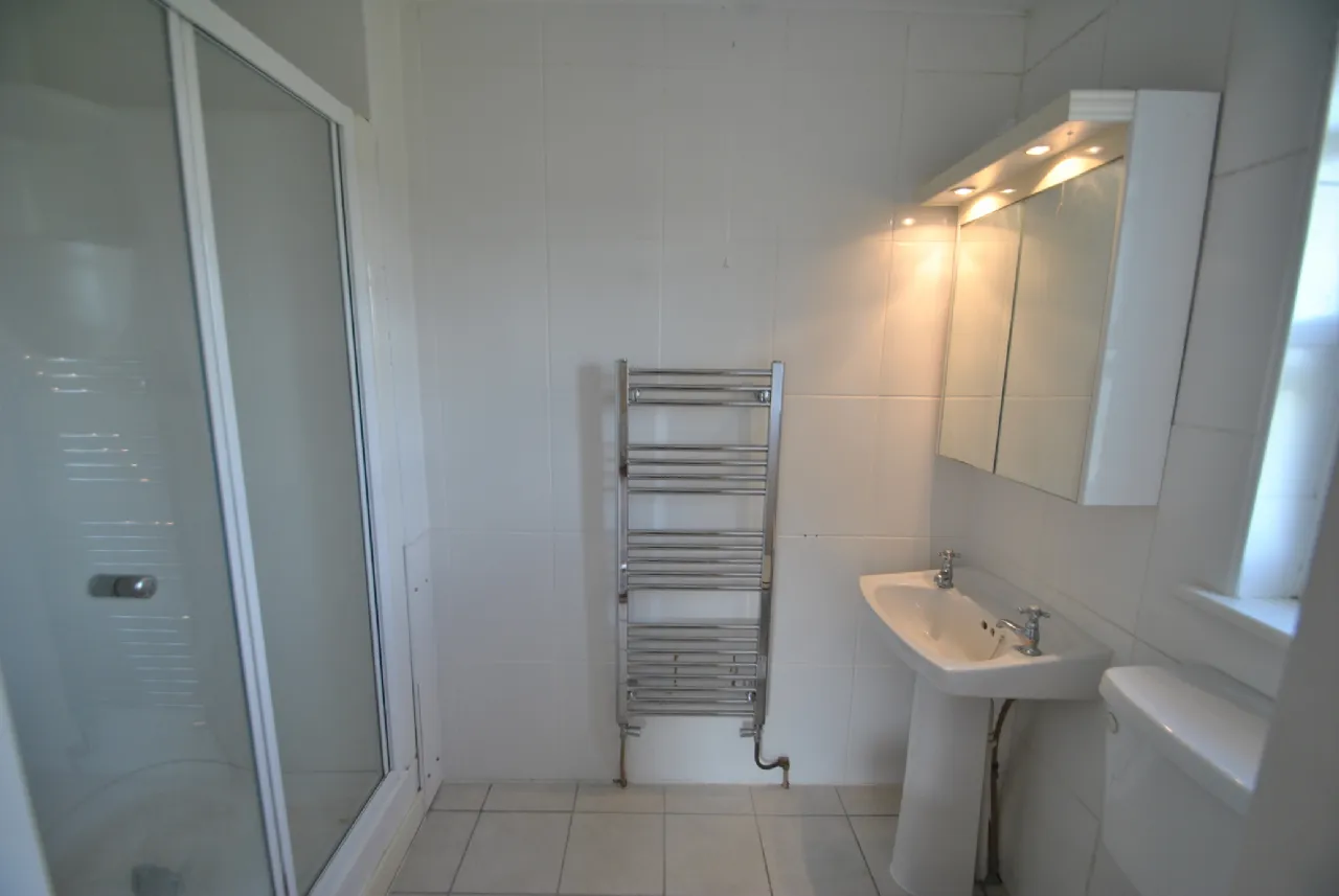 Photo of Rath House On Approx. 8.2 Acres, Ballygague, Ballacolla, Co Laois, R32 XE98