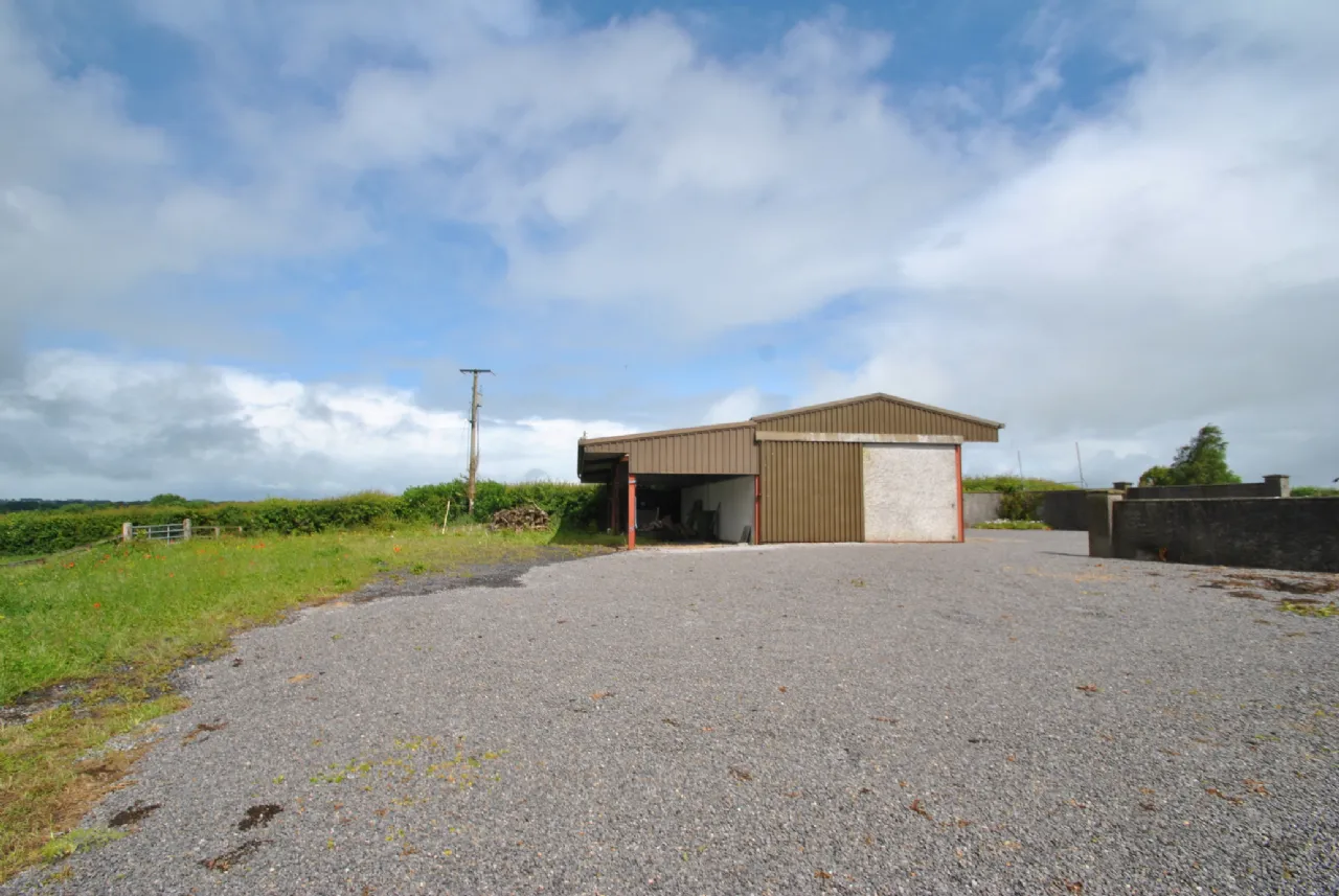 Photo of Rath House On Approx. 8.2 Acres, Ballygague, Ballacolla, Co Laois, R32 XE98