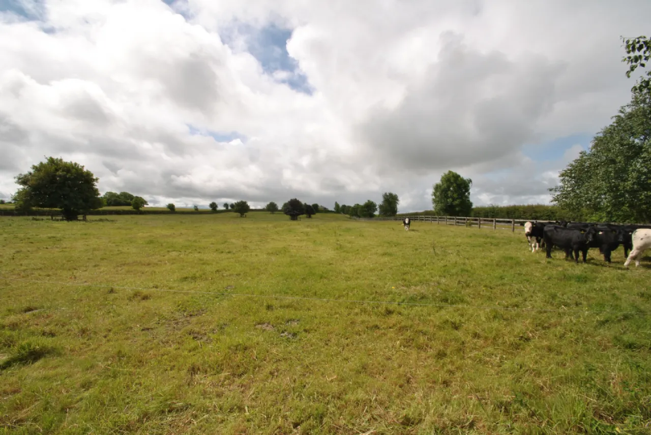 Photo of Rath House On Approx. 8.2 Acres, Ballygague, Ballacolla, Co Laois, R32 XE98
