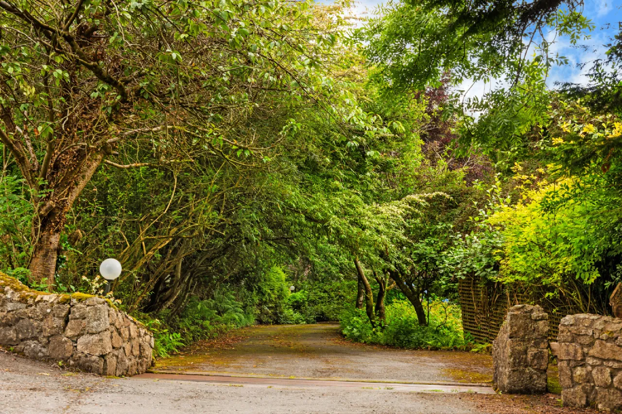 Photo of Allagour, Ballinascorney, Co. Dublin, D24 AH50