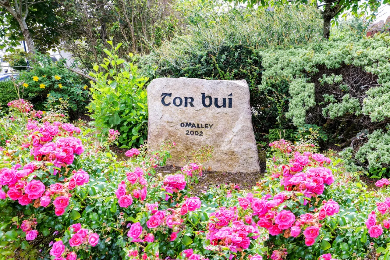 Photo of 8 Tor Bui, Cappagh Road, Knocknacarra, Galway, H91 XEW0