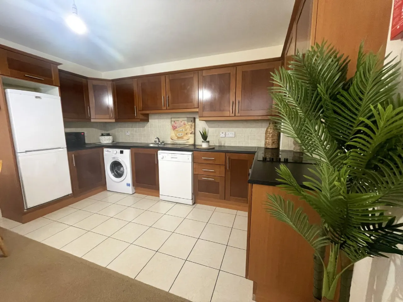 Photo of 28 Lios Mor, Newport, Co Mayo, F28 XV09