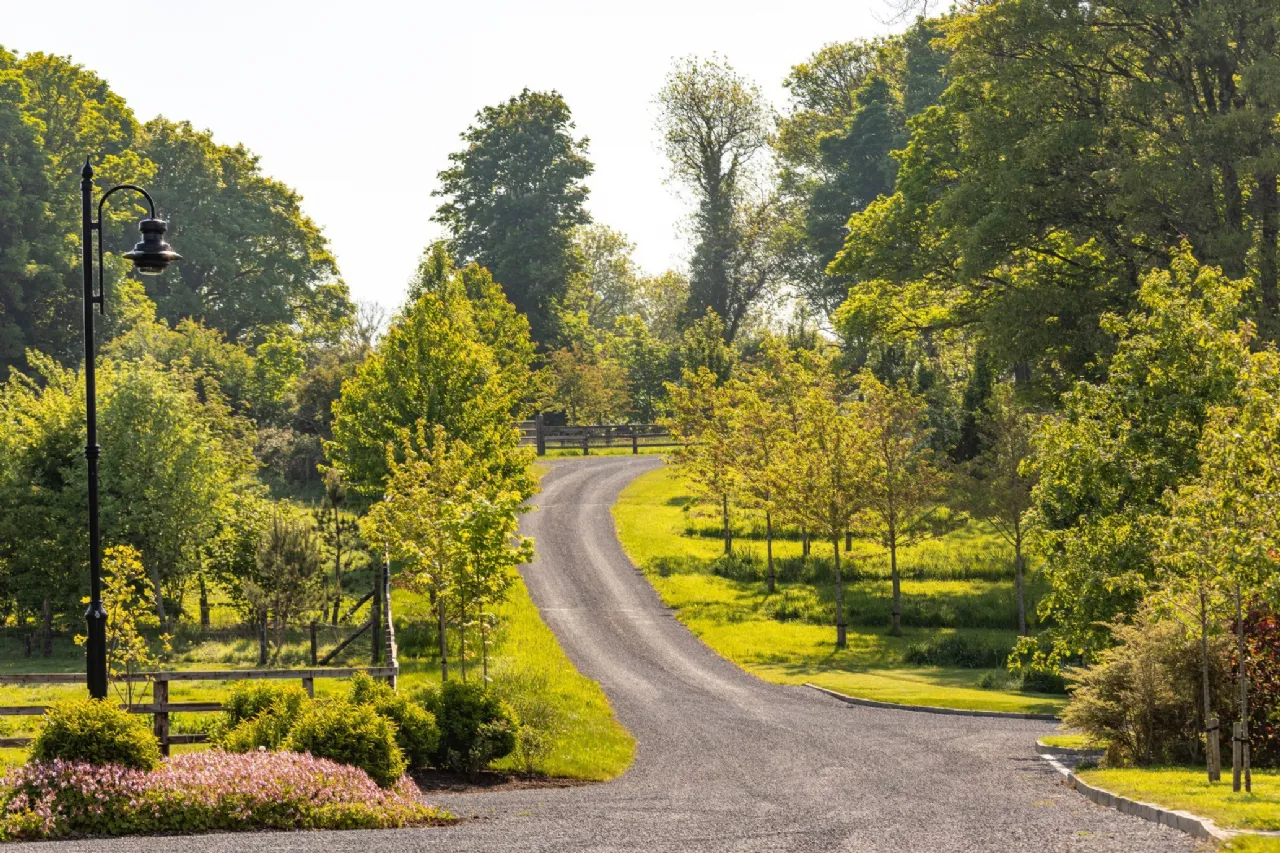 Photo of The Retreat, Lough Gur, Bruff, Co. Limerick, V35 NX96