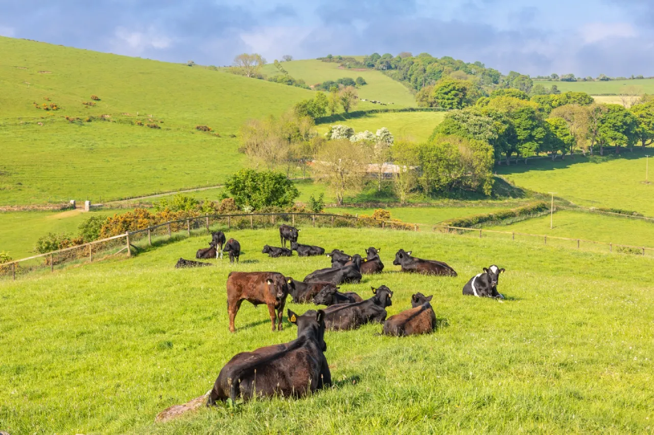 Photo of The Retreat, Lough Gur, Bruff, Co. Limerick, V35 NX96